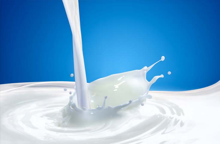 Most pasteurized milk brands unfit for human consumption in Pakistan