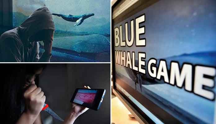 Blue Whale Dare Game - Things You Need to Know