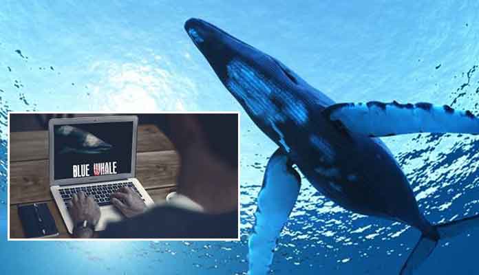 Blue Whale Dare Game - Things You Need to Know
