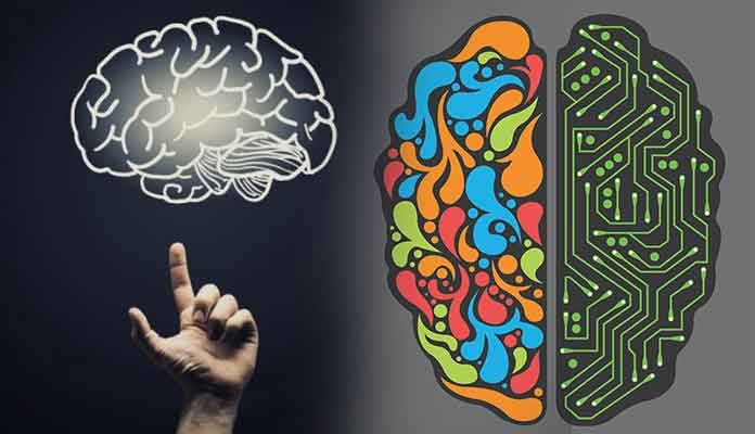 Right Brain VS Left Brain - How Different Are the Two Sides?