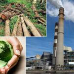 The-Environmental-Hazards-Impacting-Business-Organizations