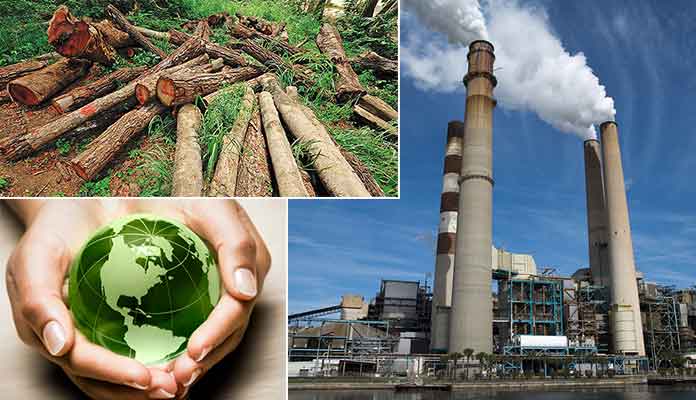 Environmental Hazards Impacting Business Organizations