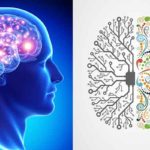 Ways-to-Boost-the-Brain-Power
