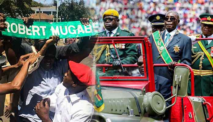 Protestors Celebrating End of President Robert Mugabe’s Era
