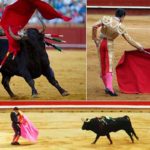 Bullfighting-history-and-where-to-see-it