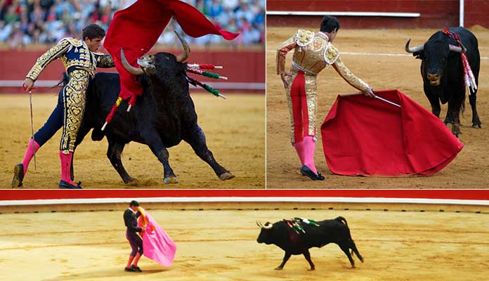 Basics of Bullfighting