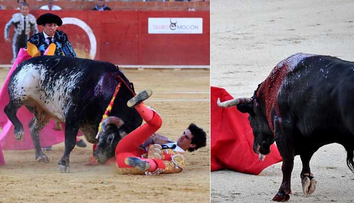 History of Bullfighting