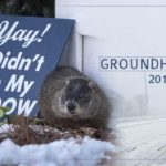 All-You-Need-to-Know-About-Groundhog-Day-2018
