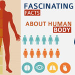 Fascinating-facts-about-human-body