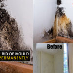 how-to-get-rid-of-mould-on-walls-permanently