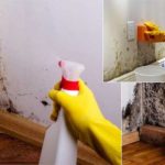 how-to-get-rid-of-mould-on-wallspermanently