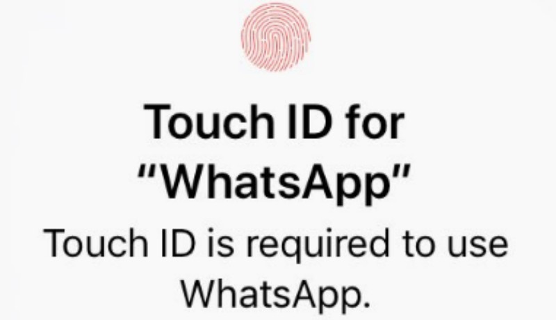 WhatsApp Biometric Identification