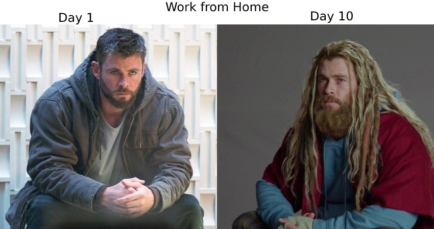 Work from Home Memes
