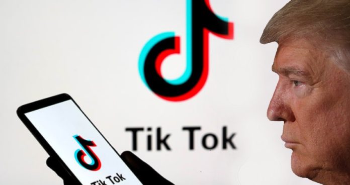 TikTok Misinformation Website