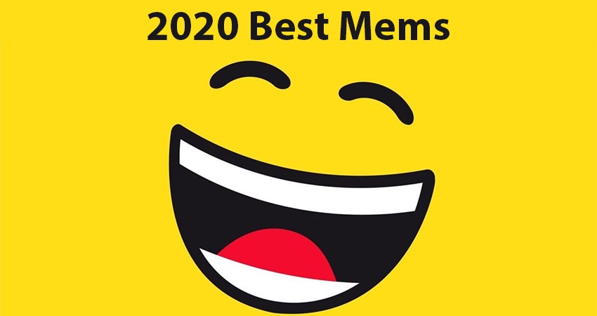 best-memes-of-2020