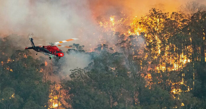 cause-of-bushfire-in-australia