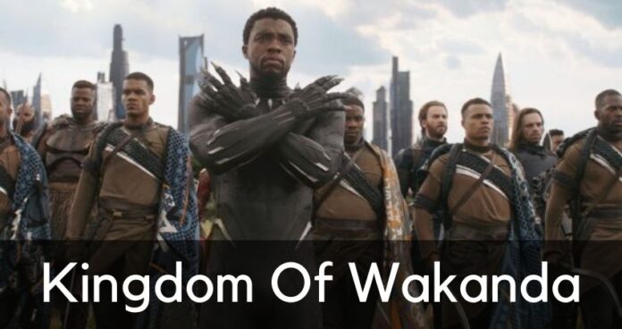 Disney Plus Series Kingdom of Wakanda