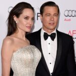 angelina_jolie_brad_pitt_family_situation_change_restricted_her_from_career_goals